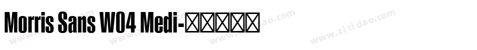Morris Sans W04 Medi字体转换
